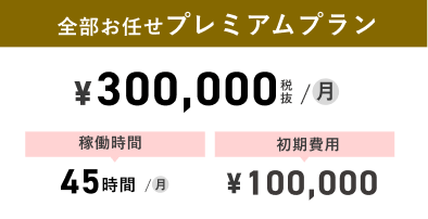 全部お任せプレミアムプラン：¥300,000税抜/月、稼働時間45時間/月、初期費用¥100,000
